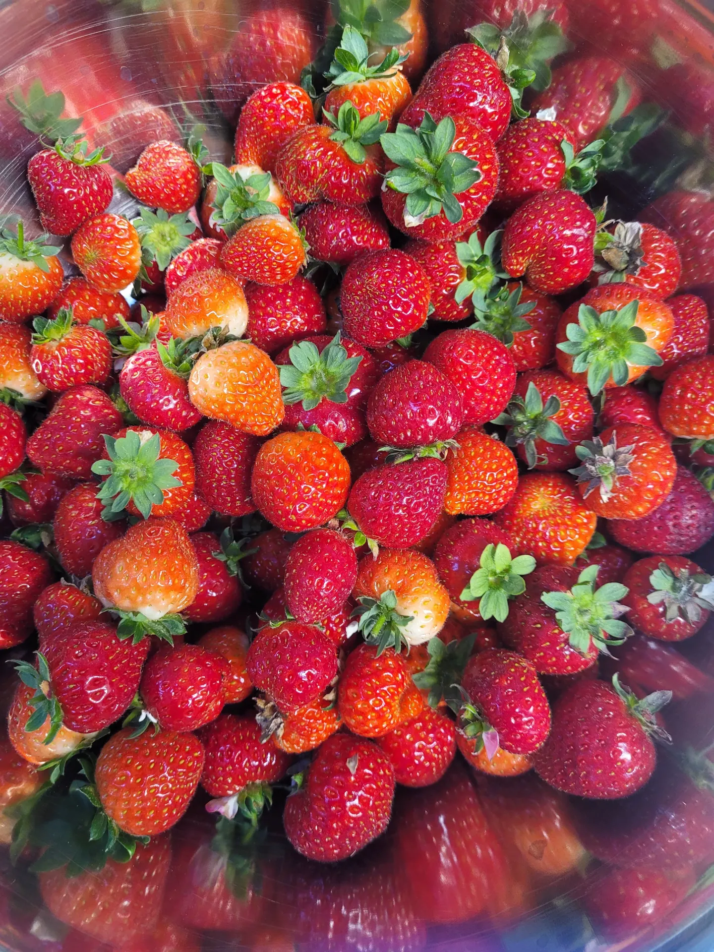 Strawberries